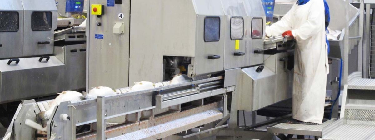 Fabricación de productos derivados del salmón utilizando una tecnología de vacío puntera