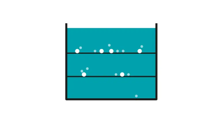 Wastewater treatment process disinfection