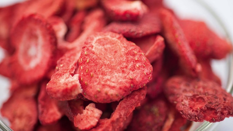 freeze_drying_strawberries