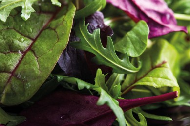 vacuum_drying_salad