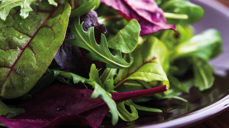 vacuum_drying_salad