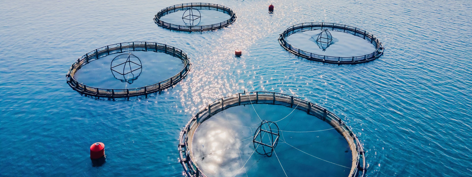 fishfarming_mainimage