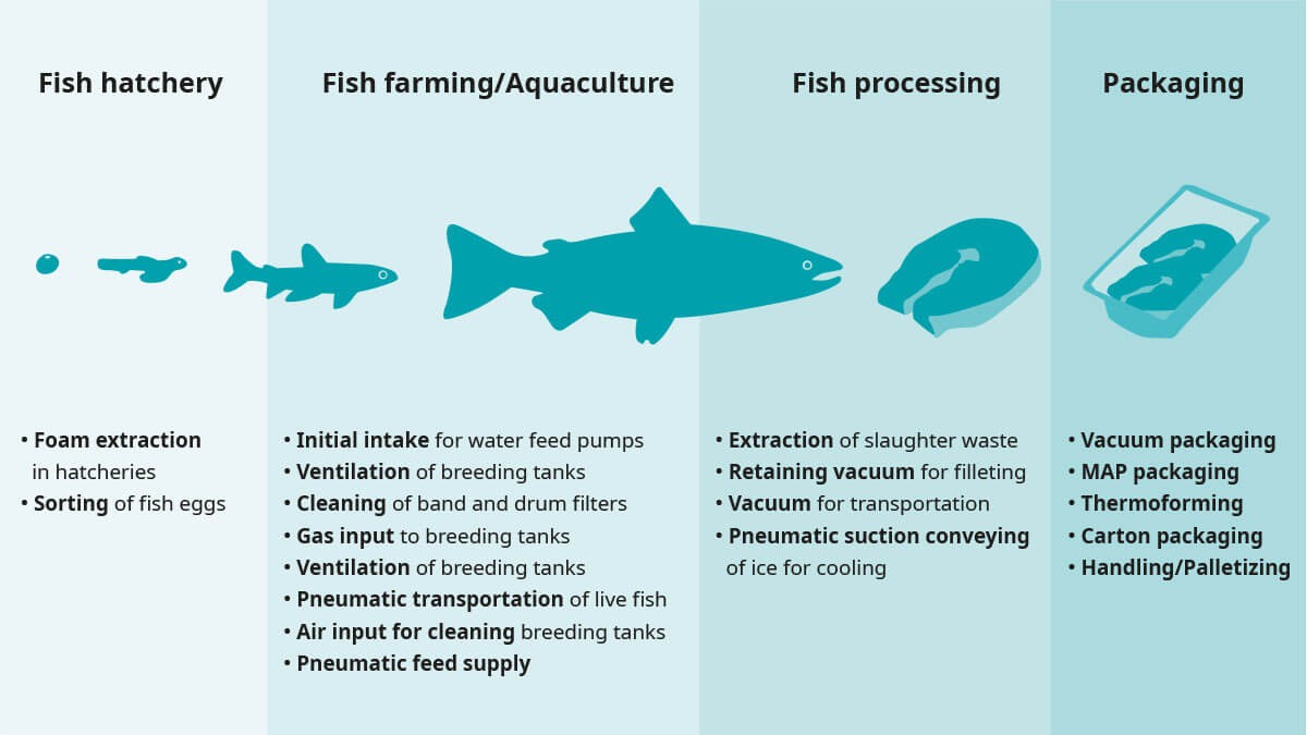 RESEARCH: Fish farming brings quick returns in short time