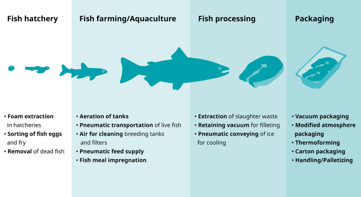 new_graphic_fish_farming