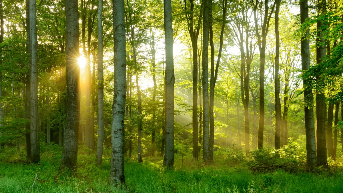 sustainability_spain