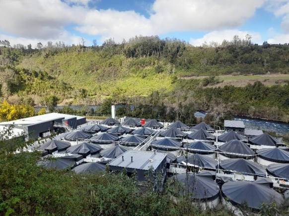 La tecnología de Busch garantiza una alta calidad del agua en la piscicultura