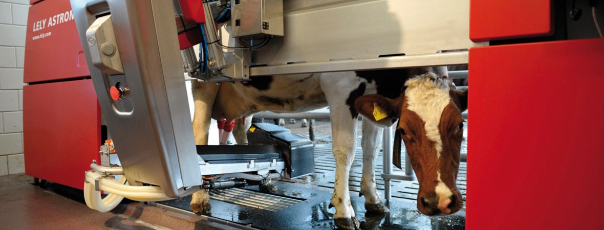Lely receives the 2014 “Innovation in Vacuum Busch Award”
