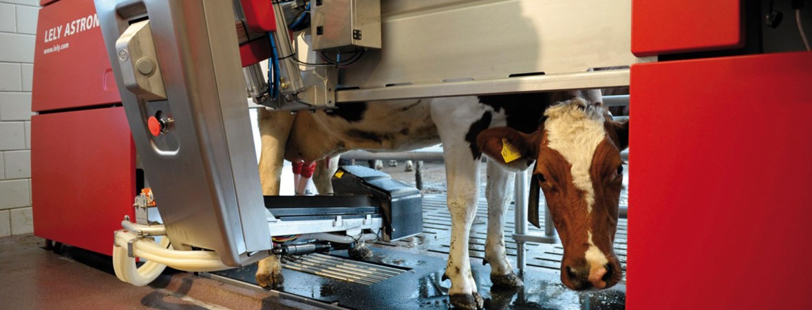 Lely recibe el «Premio Busch a la innovación en tecnologías de vacío» 2014