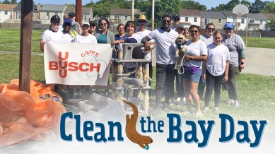 buschusa_clean_bay_2023_1200x675_banner