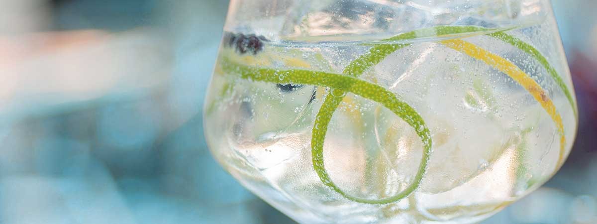 gintonic_istock_534611083_300dpi_rgb
