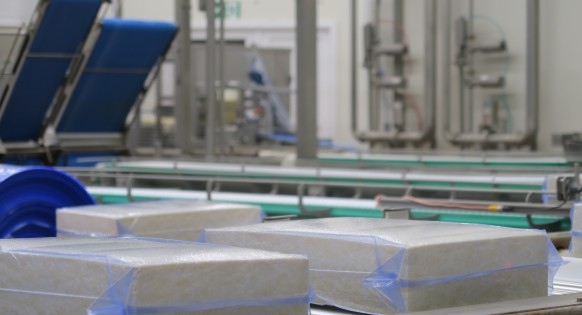 Vacuum Reduces Maintenance Effort and Energy Consumption in Cheese Production