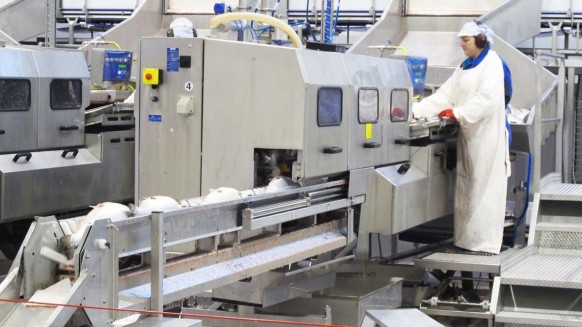 Tillverkning av laxprodukter med toppmodern vakuumteknik