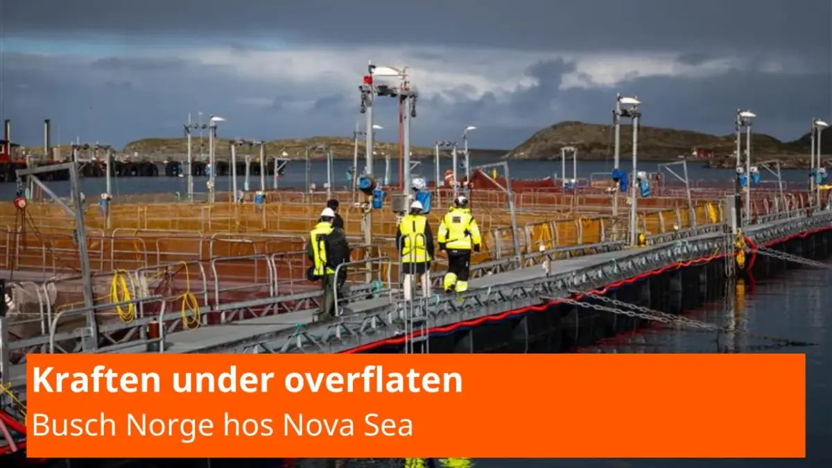novasea_youtube_thumbnail